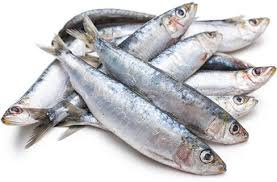 Frozen Sardine